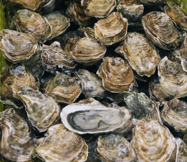 Oyster bar / Pacific Northwest seafood dish